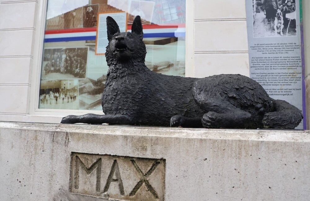 WhatsApp Image 2026-04-10 at 12.30.55.jpeg