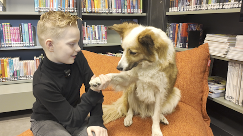 Schermafbeelding 2026-02-13 161917.png