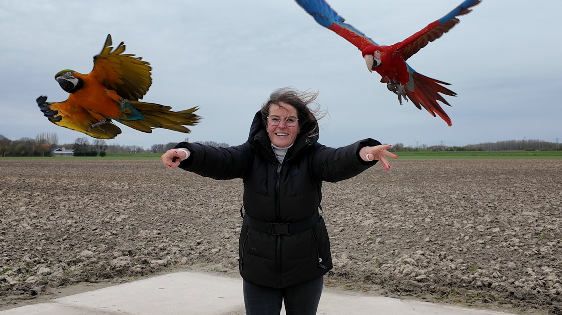 Leonie laat haar papegaaien uit in de polder