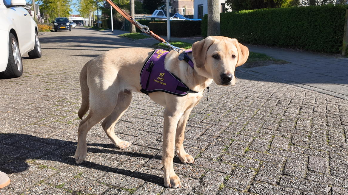 Schermafbeelding 2026-04-29 113437.png