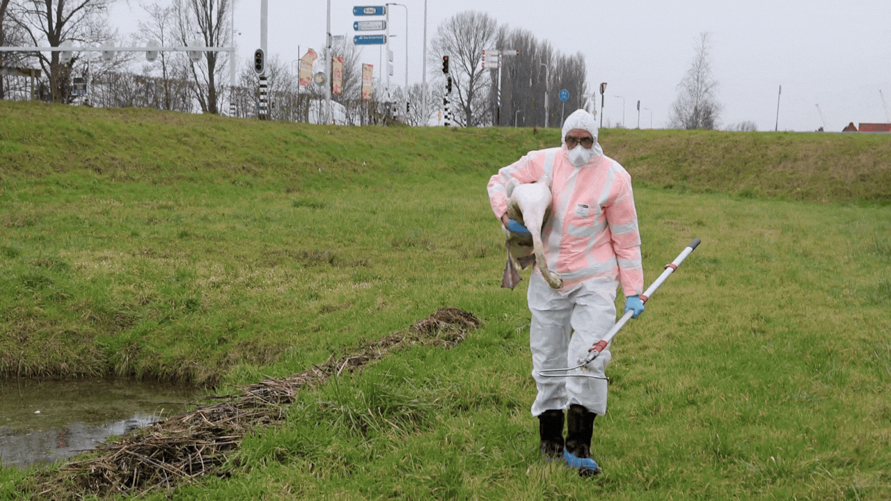 Youtube Raymond (1).gif